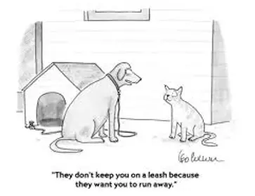 They don't keep you on a leash because they want you to run away!